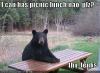 Temmybear Sez
